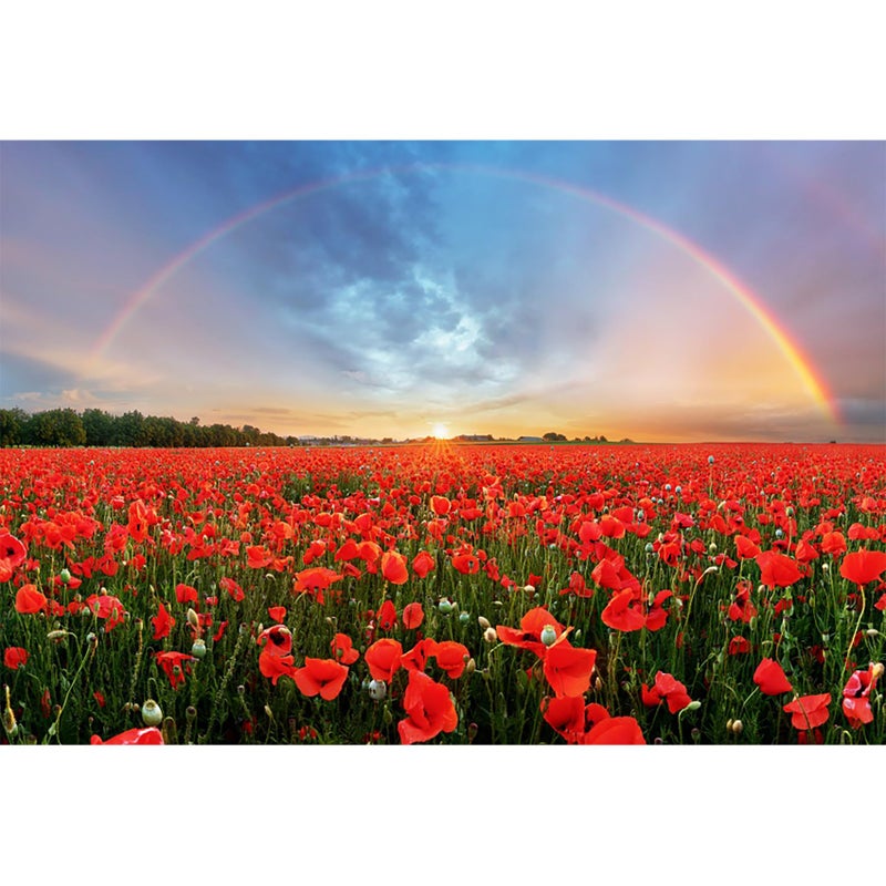 Baocicco 5x4ft Background for Sunset Rainbow Sky Red Poppy Field Photography Backdrop Outdoor Wedding Backdrop Spring Natural Scenery Wedding Ceremony Valentine's Day Vacation Photo Studio Props - Image 1